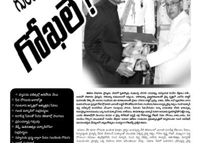 Gundela Devudu Gokhale-a News Feature by Vanitha Daily on Dr Alla Gopala Krishna