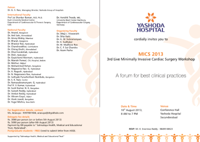 MICS 2013